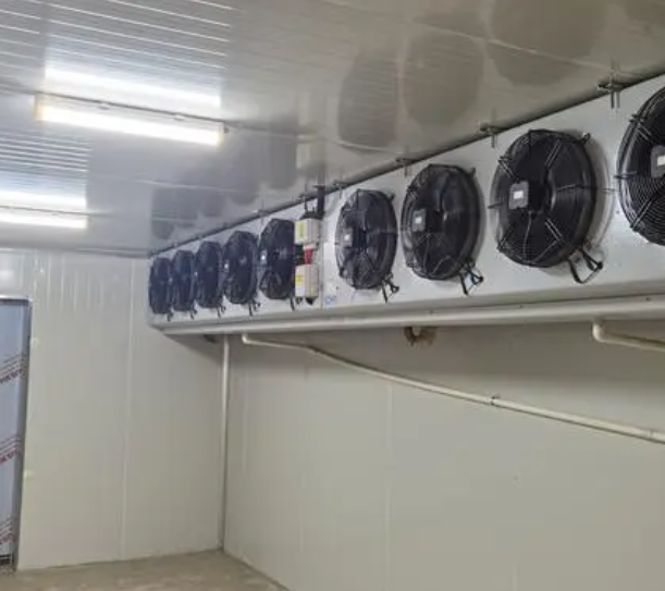 速凍冷庫的優點有哪些？_上海開冉制冷