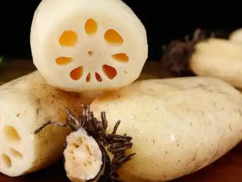 洪澤湖地區蓮藕冷庫設計要點：鎖住水鄉鮮韻