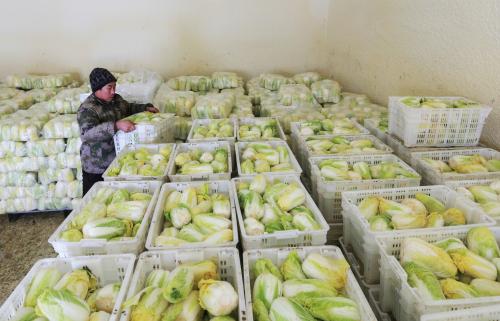 山東大型蔬菜冷庫(kù)