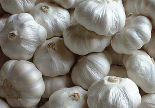 500噸大蒜保鮮冷庫(kù)