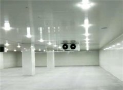 建個一萬平出租型冷庫大概需要投資多少錢？