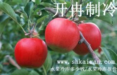 水果冷庫報價、一個水果冷庫多少錢