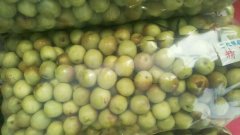 凍庫(kù)設(shè)計(jì)，冬棗保鮮庫(kù)多少錢(qián)？