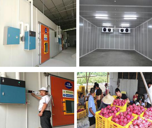 水果種植農(nóng)業(yè)專業(yè)合作社 火龍果保鮮庫(kù)、氣調(diào)庫(kù)案例