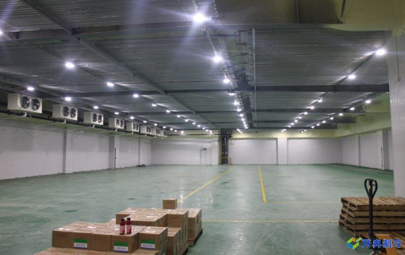 上海開冉為冰度倉(cāng)儲(chǔ)提供2000平冷凍庫(kù)施工完工內(nèi)景圖