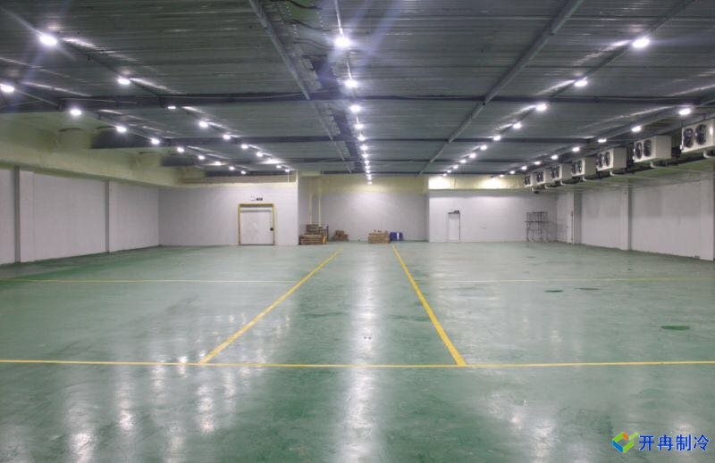 體外診斷試劑冷庫(kù)