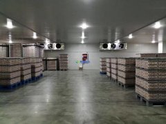 存儲食品冷藏庫設計建造多少錢一平米？保鮮冷藏庫設計