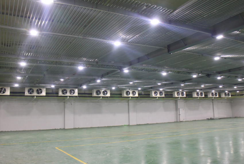 300噸西紅柿保鮮庫造價，西紅柿冷藏庫設(shè)計(jì)