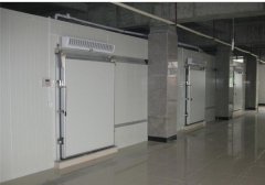 上海建1500平米分類冷庫，1500平米冷庫總投資需要多少錢